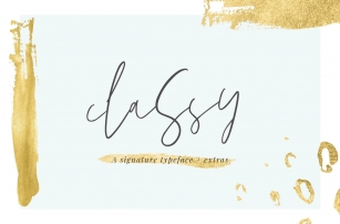 Classy Signature Typeface + Extras Font Download