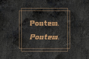 Pontem family-Regular-*50% off Font Download