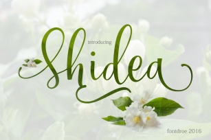 Shidea Font Download