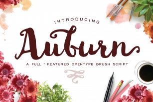 Auburn Font Download