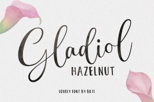 Gladiol Haze // Lovely Script Font Download