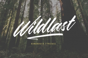 Wildlast Handbrush Typeface Font Download
