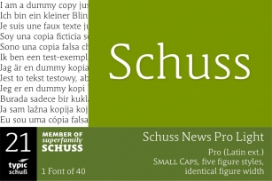 SchussNewsProLight No.21 (1) Font Download