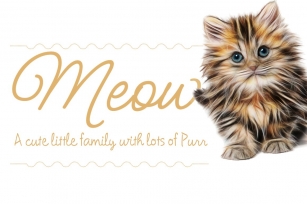 Meow Script Family Font Download