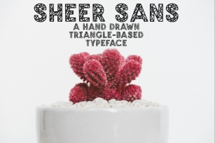 SHEER SANS Hand Drawn Typeface Font Download