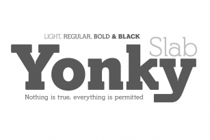 Yonky Slab -8 fonts- 34% off Font Download