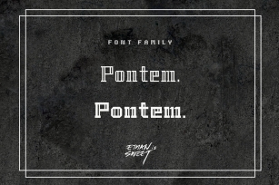 Pontem family (5 style) Font Download