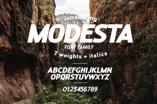 MODESTA SANS Font Download
