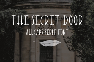 The Secret Door. Cute handdrawn font Font Download