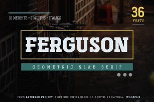 Ferguson Slab Family Font Download