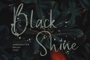 Black Shine Script Brush Font Download