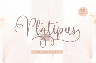 Platipus Script Font Download