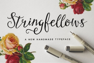 Stringfellows Typeface Font Download