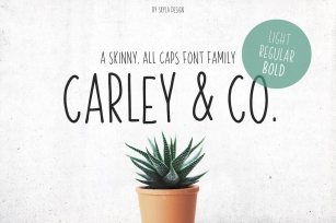 Skinny family Carley  Co. Font Download
