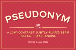 Pseudonym 24 Incised Serif Font Download