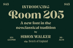 Room 205 Font Download
