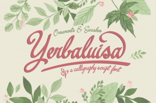 Yerbaluisa, calligraphic font Font Download