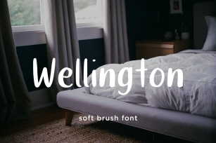 Wellington cute brush font Font Download