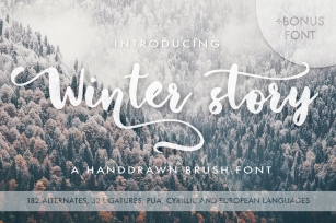 Winter Story  Extras Font Download