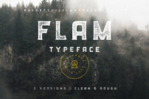 FLAM Typeface Font Download