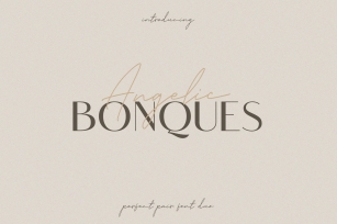 Angelic Bonques Font Download