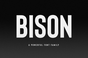 Bison Font Download