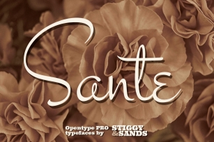 Sante Pro Font Download