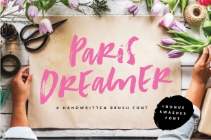 Paris Dreamer Script + Bonus font Font Download