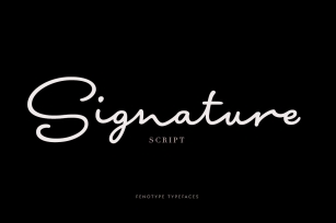 Signature Script Intro Sale Font Download