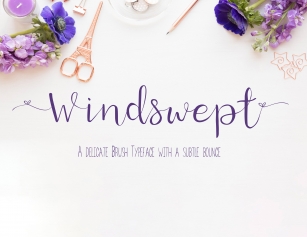 Windswept a bounce brush font Font Download