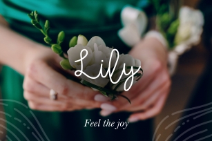 Lily Script Font Download