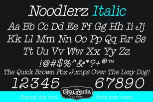 Noodlerz Italic Font Download
