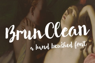 Brun Clean Font Download