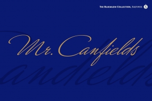 Mr Canfields Pro Font Download