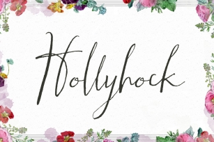 Hollyhock Font Download