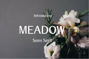 Meadow-Sans Serif font family Font Download