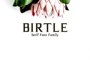 Birtle Serif 3 Family Pack Font Download
