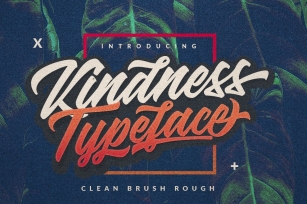 Kindness Typeface Font Download