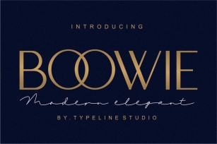 Boowie || Modern minimalist elegant. Font Download