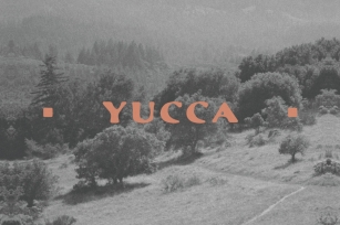 Yucca Font Download