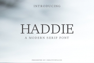 Haddie Modern Serif Family Font Download