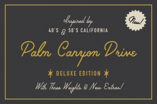Palm Canyon Drive Font Download