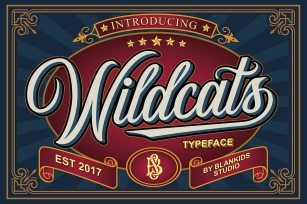 Wildcats Typeface Font Download