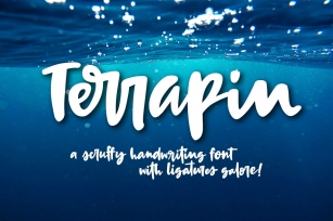 Terrapin: a scrappy handwriting font Font Download