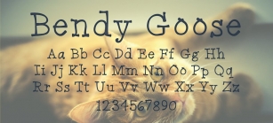 Bendy Goose Font Download