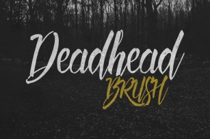 Deadhead Brush Font Download
