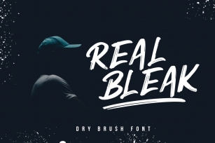 REAL BLEAK // Dry Brush Font Download