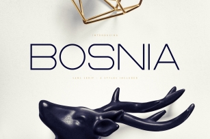 Bosnia Font Download