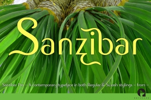 Sanzibar Pro Font Download