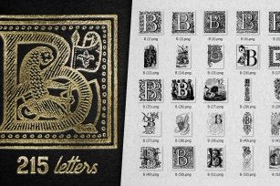 Vintage Letter B Vector And PNG Font Download
